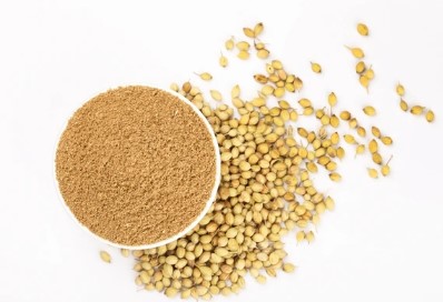 Coriander